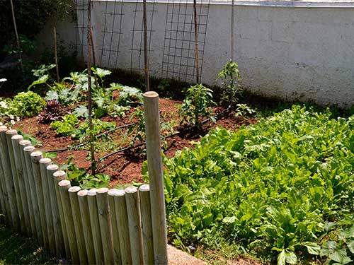Wanderlust Istra Hostel - Gemüse im Garten