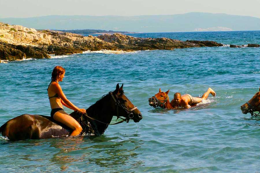 Reiten, Ranch in Medulin – Reiten entlang der Küste