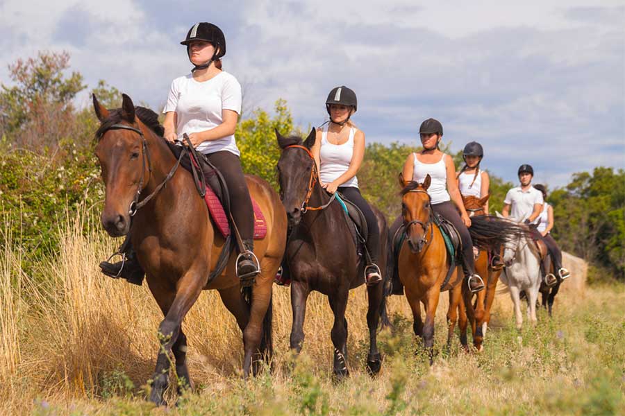 Reiten, Ranch in Medulin – Reiten entlang der Küste