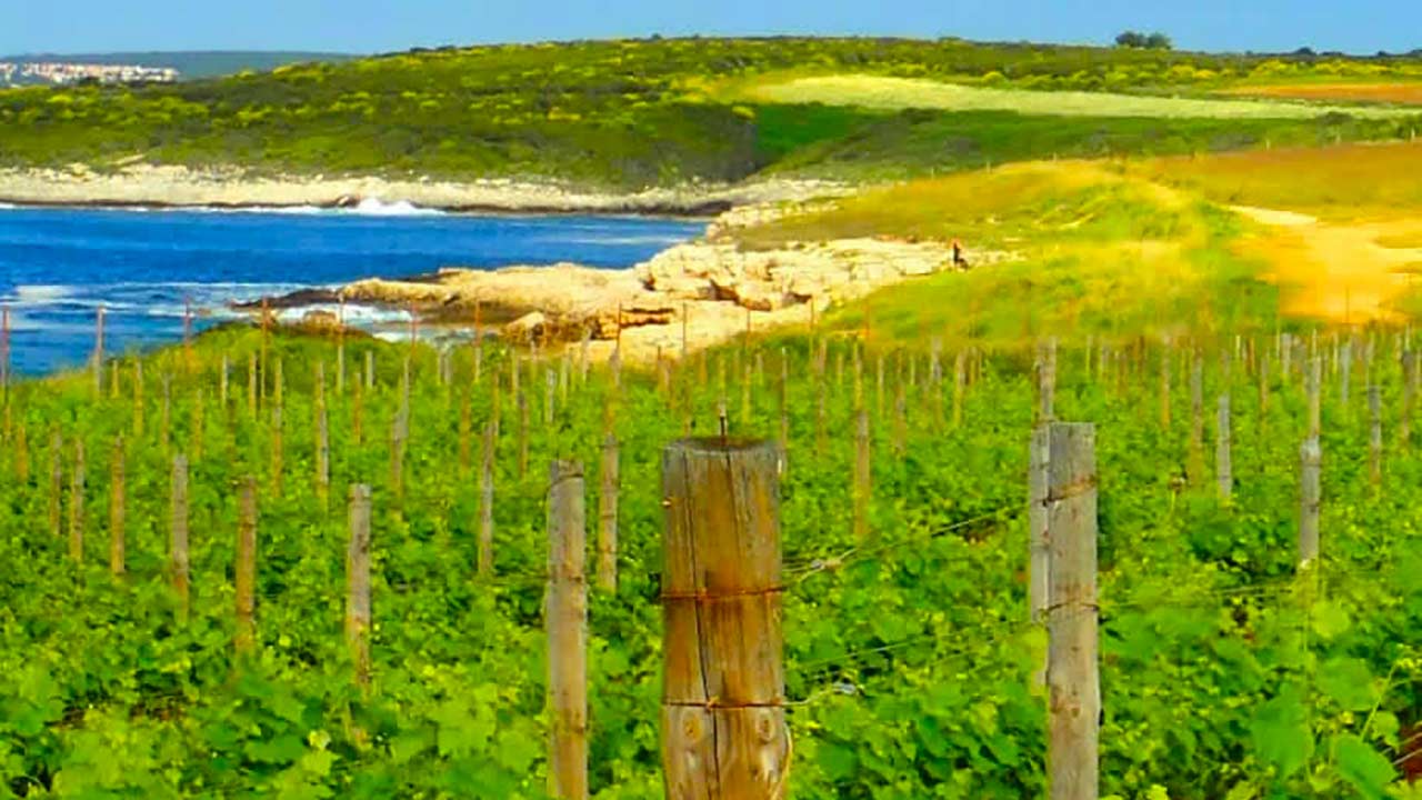 Ližnjan Istra, Kroatien